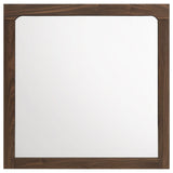 Etienne Rectangular Dresser Mirror Walnut view 2