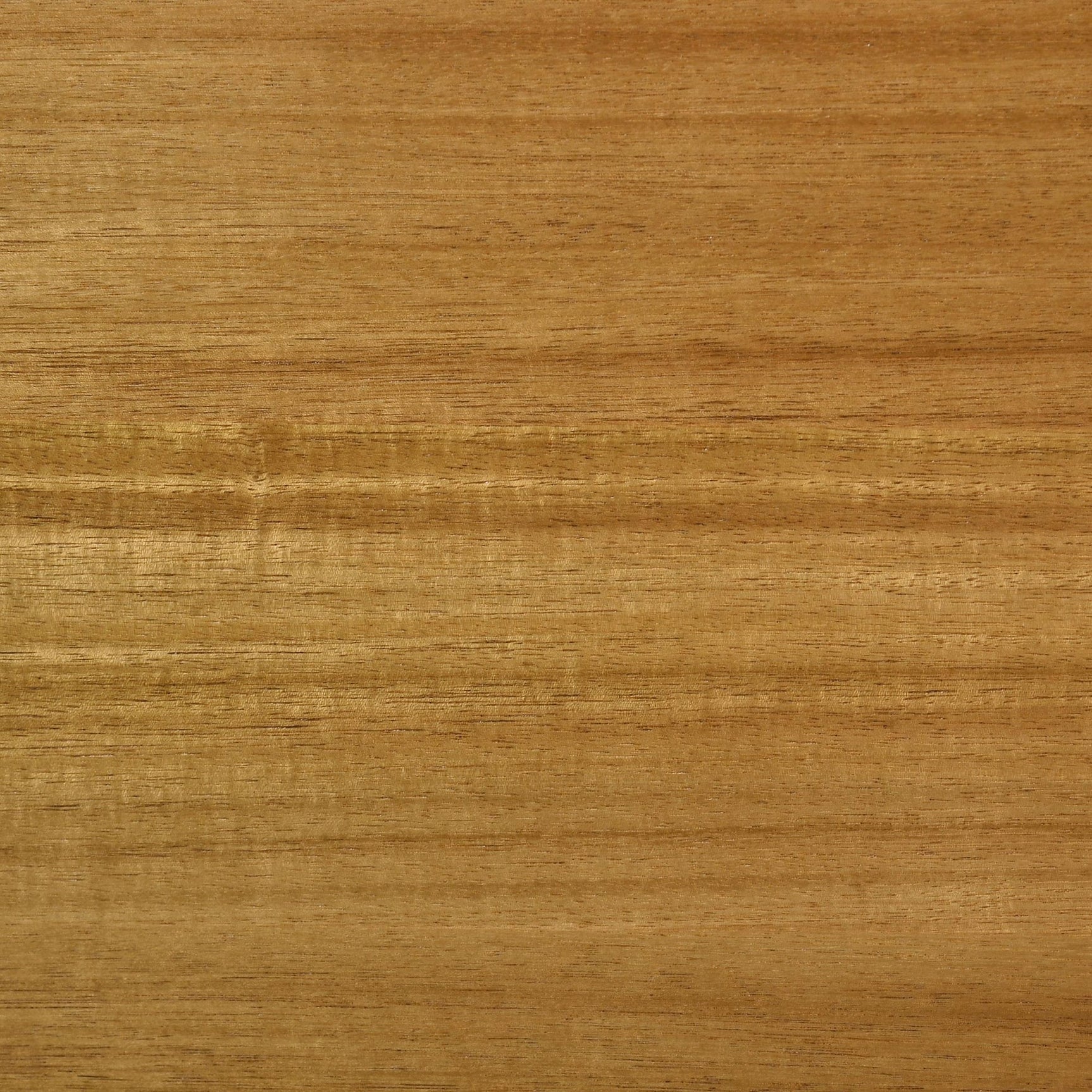 Fabra 79-inch Rectangular Wood Dining Table Honey view 5