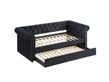 Ellie Black Modern Transitional Velvet Tufted Trundle Daybed - Ella Furniture