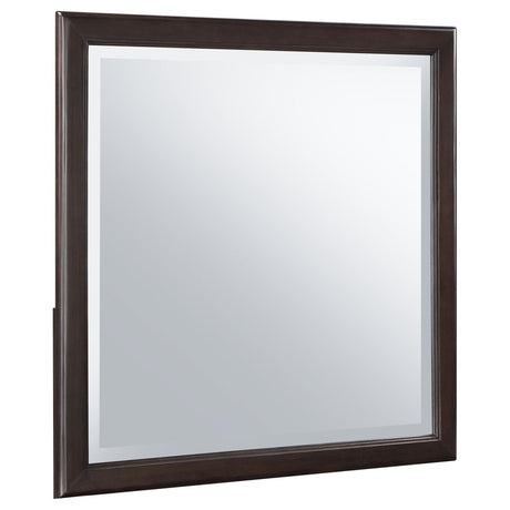 Emberlyn Dresser Mirror Brown 223064 - Ella Furniture