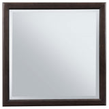Emberlyn Dresser Mirror Brown 223064 - Ella Furniture