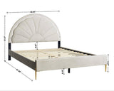 Flora Beige Platform Bed Twin, Full, Queen (Led Lights) (Twin) - Ella Furniture
