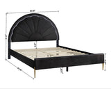 Flora Black Platform Bed Twin, Full (Led Lights) (Full) - Ella Furniture
