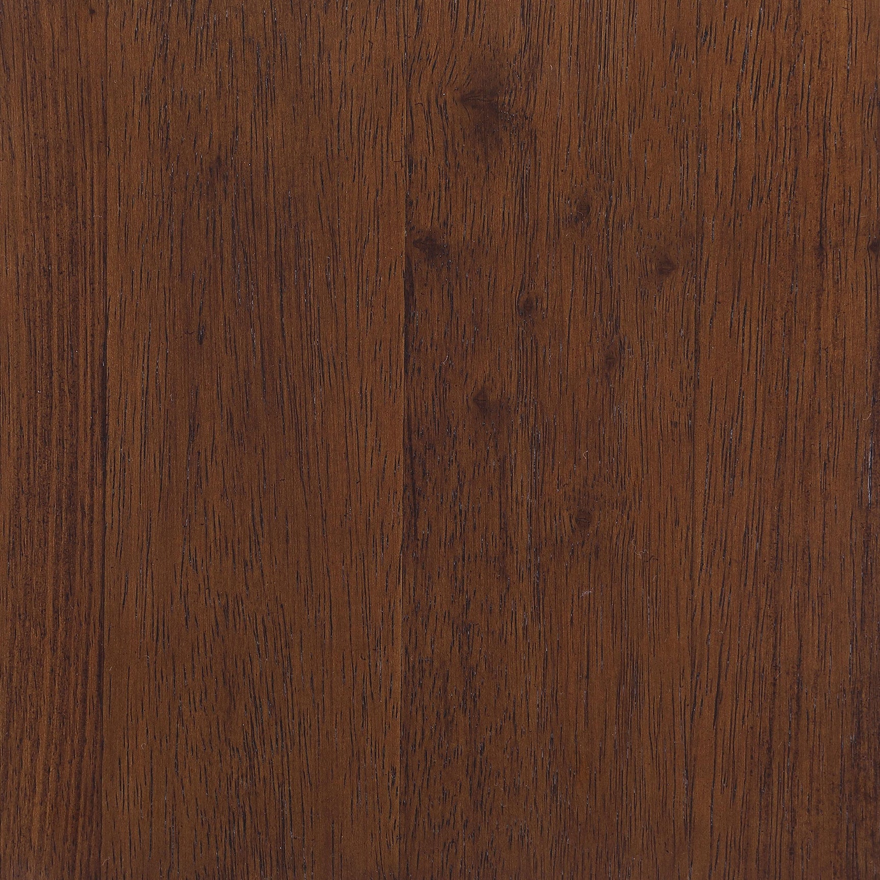 Foster Upholstered Wood Frame Accent Chair Honey 902271 - Ella Furniture