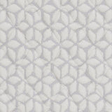 Limited Edition Firm White Queen Mattress M41031 - Ella Furniture