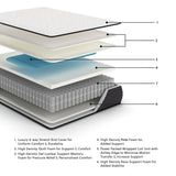 Limited Edition Firm White Queen Mattress M41031 - Ella Furniture