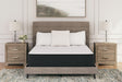 Limited Edition Plush White Twin Mattress M41111 - Ella Furniture