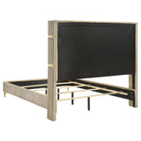 Lucia Upholstered Queen Wingback Panel Bed Beige 224731Q - Ella Furniture