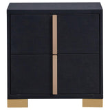 Marceline 2-Drawer Nightstand Black 222832 - Ella Furniture