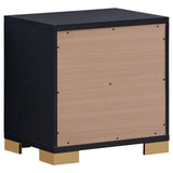 Marceline 2-Drawer Nightstand Black 222832 - Ella Furniture