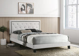 Passion Black Velvet Upholstered Tufted Platform Full Bed