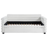 Patricia Boucle Upholstered Twin Day Bed with Trundle White 300716 - Ella Furniture