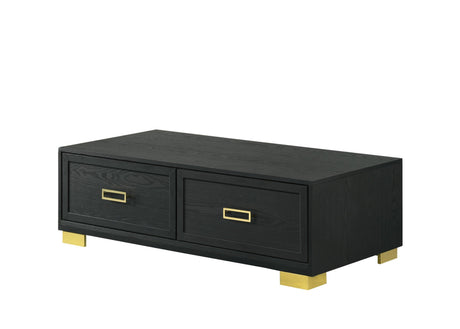 Pepe Black/Gold Modern Contemporary Solid Wood And Veneers Storage Cocktail Group Coffee Table - Ella Furniture