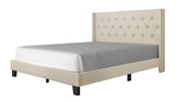 Paddy Beige Upholstered Tufted Platform Queen Bed