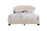 Jaddy Beige Velvet Upholstered Platform King Bed