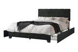 Hectic Black Platform Queen Bed
