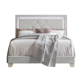 Silver Velvet Upholstered Tufted LED Platform Queen Bed