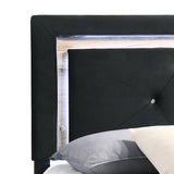 Wally Black Velvet Upholstered Tufted LED Platform Twin Bed