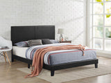 Latty Black Upholstered Platform Queen Bed