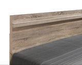 Tilston Brown Modern Contemporary Solid Wood And Veneers Queen Bed - Ella Furniture