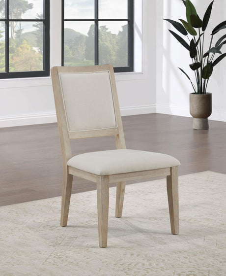 Trofello Cushioned Dining Side Chair White Washed (Set of 2) 123122 - Ella Furniture
