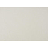 Luster White Contemporary Wood Faux Leather Upholstered Queen Platform Bed With Footboard Storage - Ella Furniture