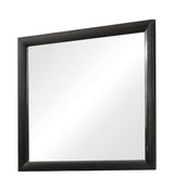 Briana Rectangle Dresser Mirror Black - Ella Furniture