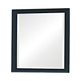 Sandy Beach Vertical Dresser Mirror Black - Ella Furniture