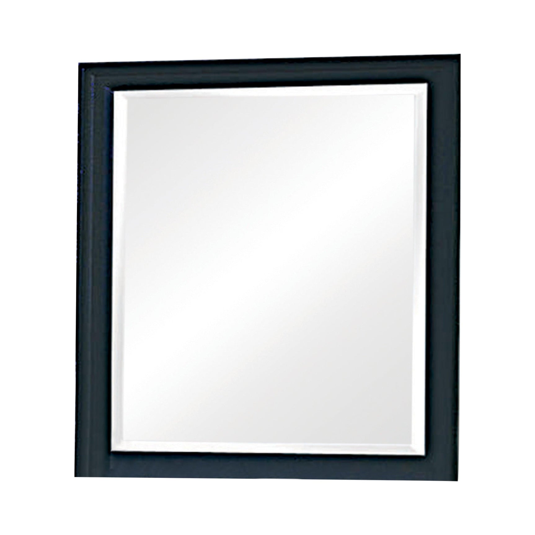Sandy Beach Vertical Dresser Mirror Black - Ella Furniture