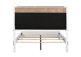 Barzini Queen Upholstered Panel Bed White - Ella Furniture
