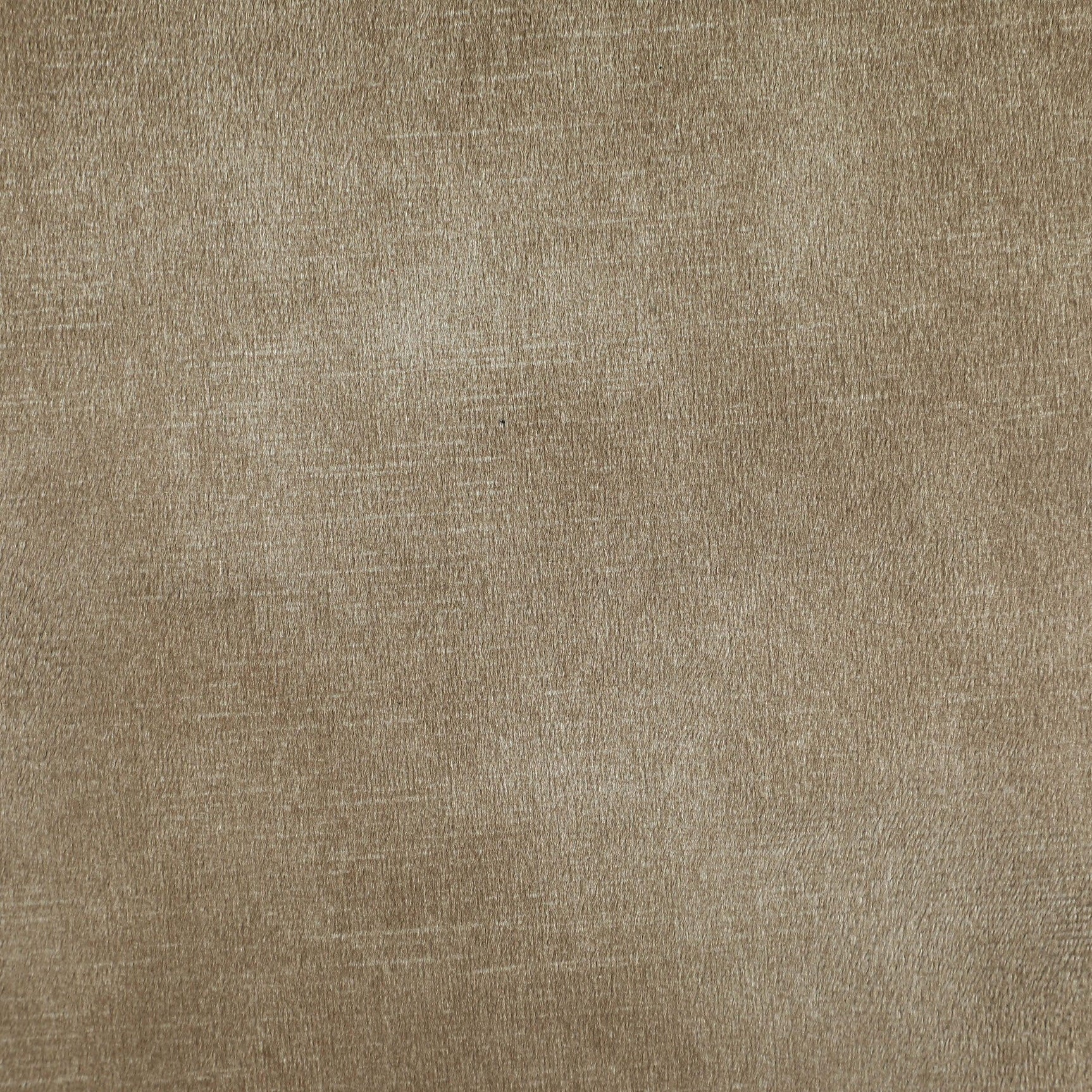Tierra Beige Velvet Dining Chair - Ella Furniture