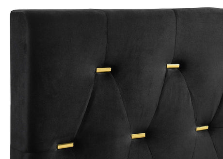 Kendall Tufted Panel Queen Bed Black And Gold - Ella Furniture