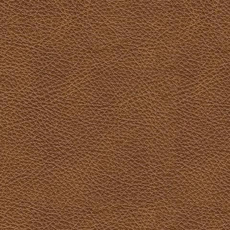 Emilia Caramel 2-Piece Sectional Loveseat [ETA: 07/22] - Ella Furniture