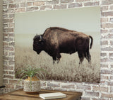 Brutus Sepia Wall Art - Ella Furniture