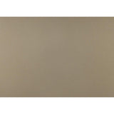 Loudon Champagne Metallic Wood, Engineered Wood Faux Leather Upholstered Youth Twin Platform Bed - Ella Furniture