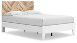 Piperton Two-tone Brown/white Full Panel Platform Bed - Ella Furniture